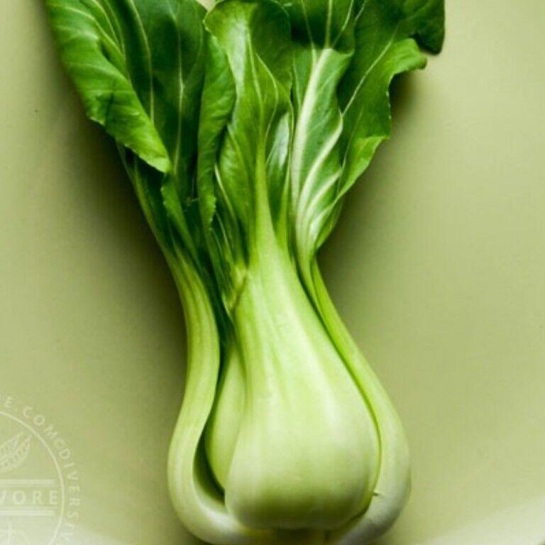 Bok Choy