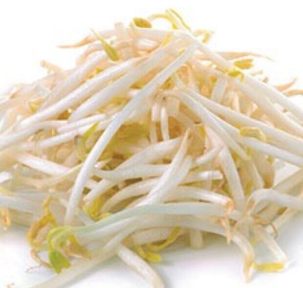 Bean Sprouts
